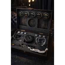 Подарочный набор для виски Moltis с электрическим смокером — 2 бокала Quadro, металлические охлаждающие кубики и набор щепы для копчения 10169